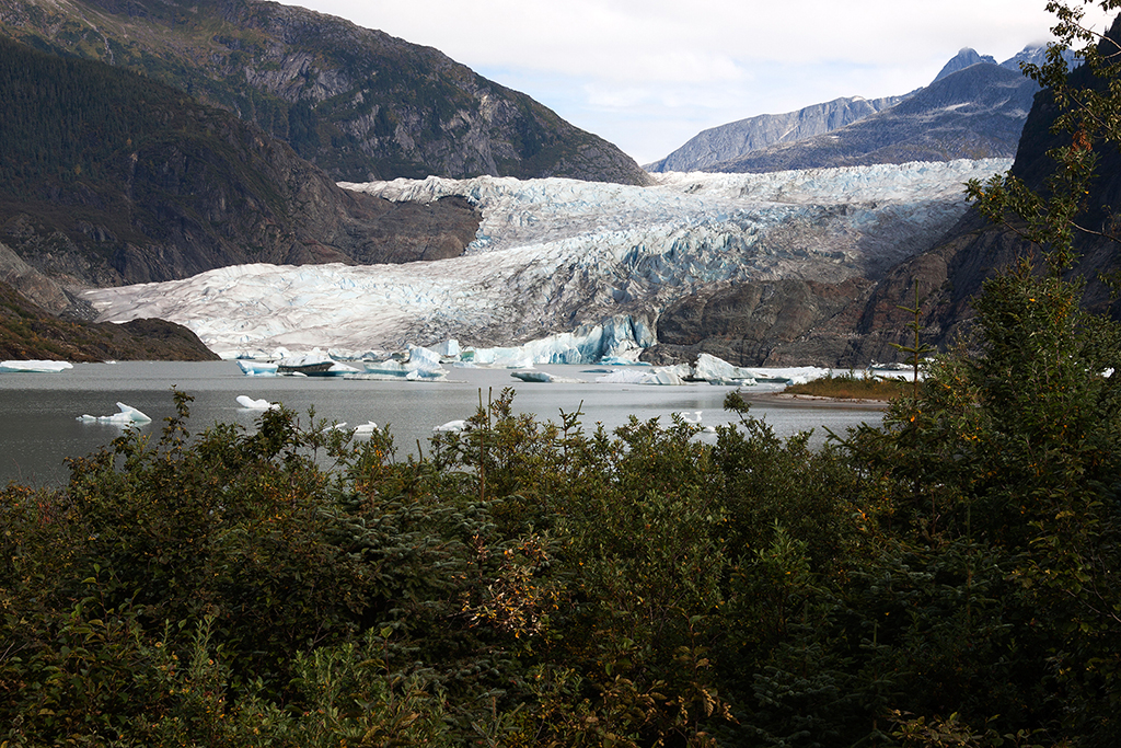 IMG_366.jpg - Mendenhall Glacier at Juneau